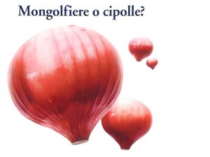 新巴爾虎右旗原料有限責任公司